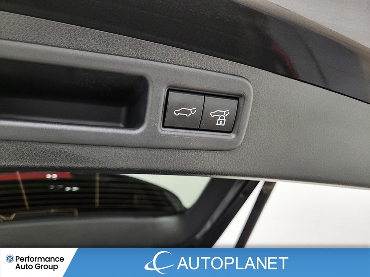 2024 Lexus RX Premium AWD, Sunroof, Heated Seats, Lexus Safety! Photo