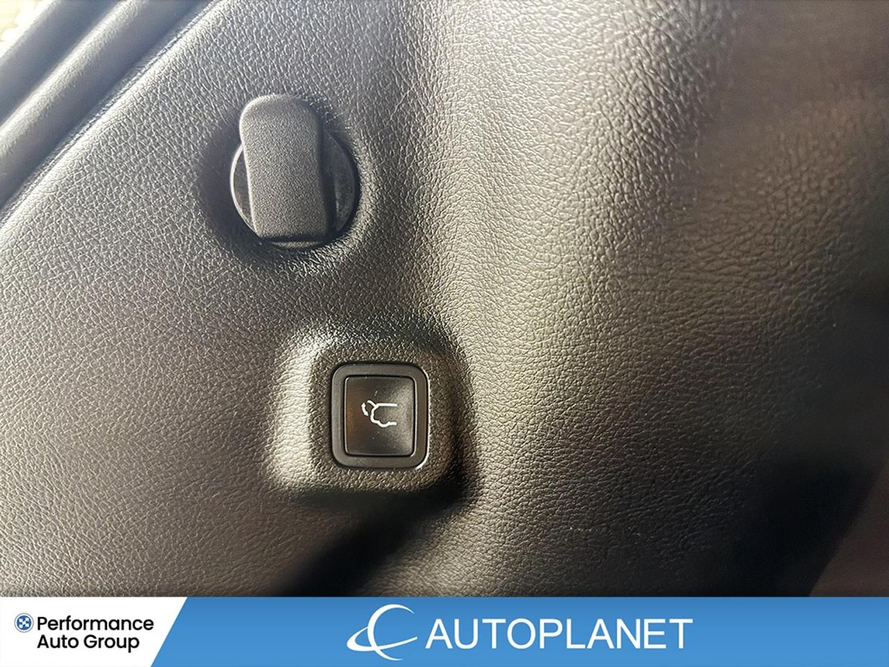 2024 Jeep Compass Trailhawk 4x4,Sunroof/Sound & Navi Grp,Back Up Cam Photo