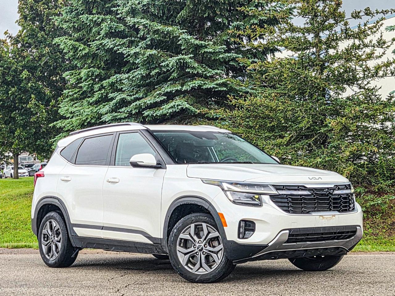 2024 Kia Seltos EX Photo