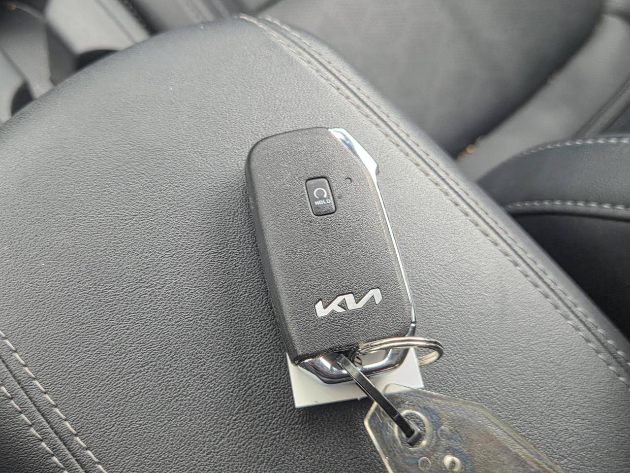 2024 Kia Seltos EX Photo