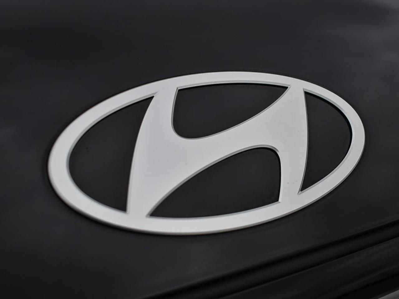 2025 Hyundai Santa Fe Luxury Photo