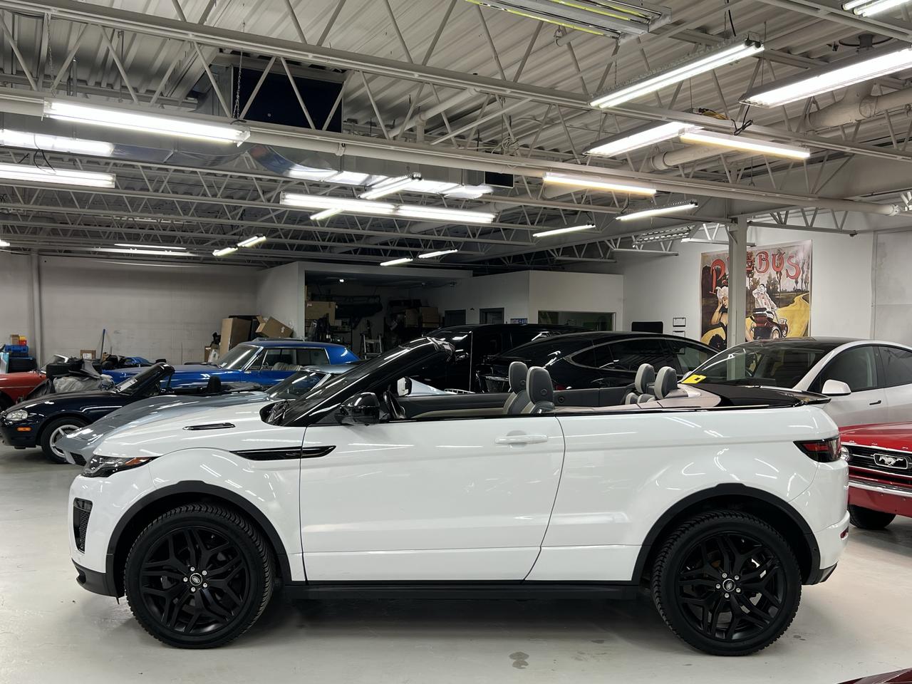 2019 Land Rover Range Rover Evoque Convertible HSE Dynamic Photo