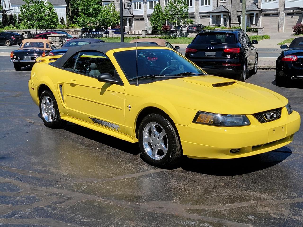 Used 2003 Ford Mustang 2Dr Convertible for sale in Kitchener, ON