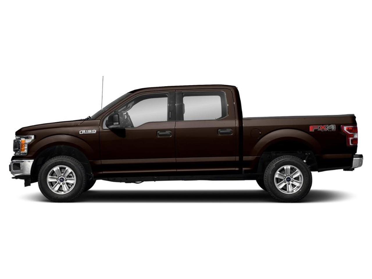 2019 Ford F-150 XLT Photo