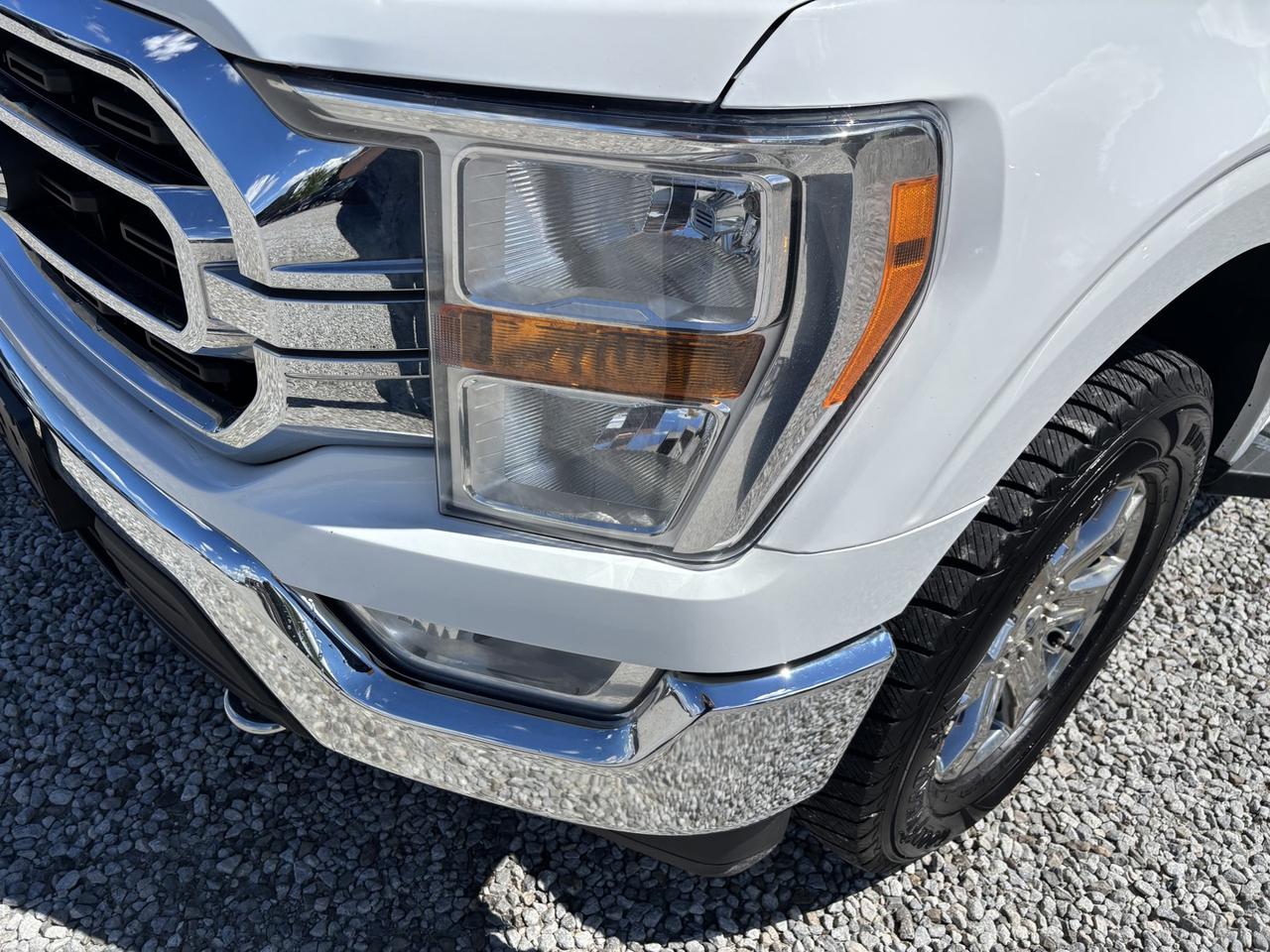 2021 Ford F-150 XL SuperCrew 6.5-ft. Bed 4WD Photo