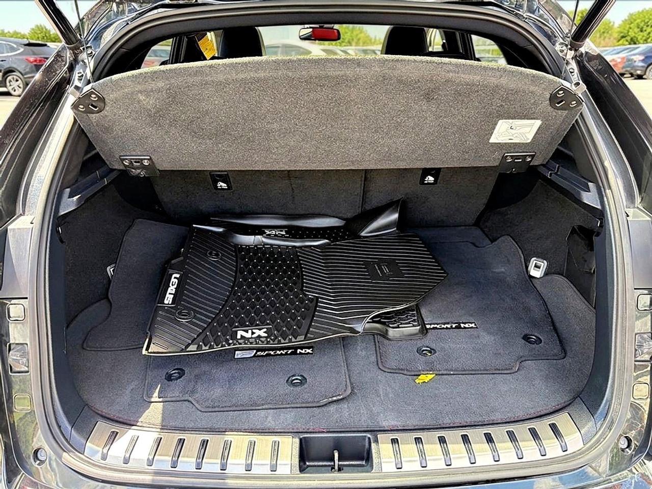 2021 Lexus NX NX 300 AWD Photo