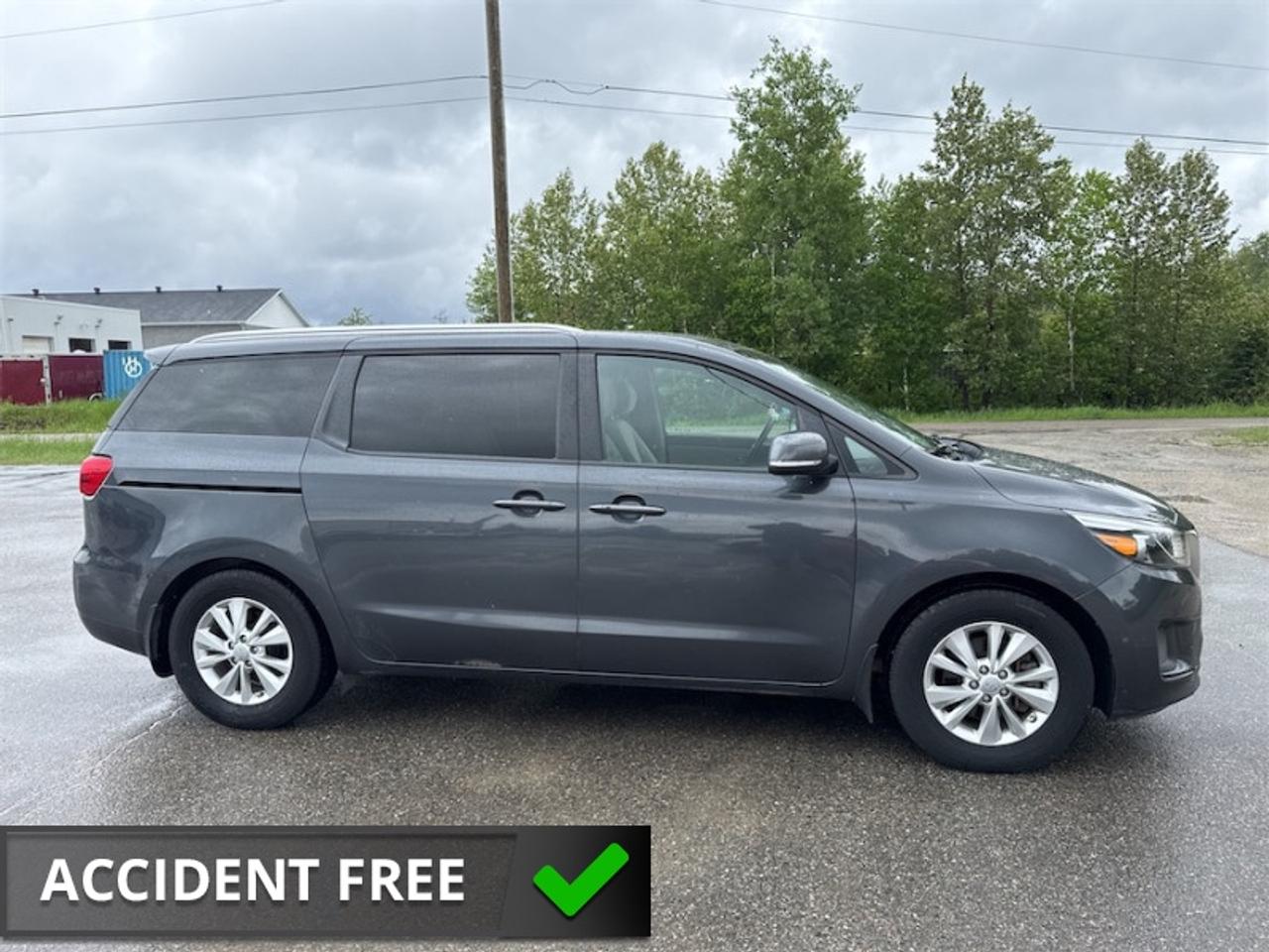 2017 Kia Sedona LX+  One Owner - $184 B/W Photo