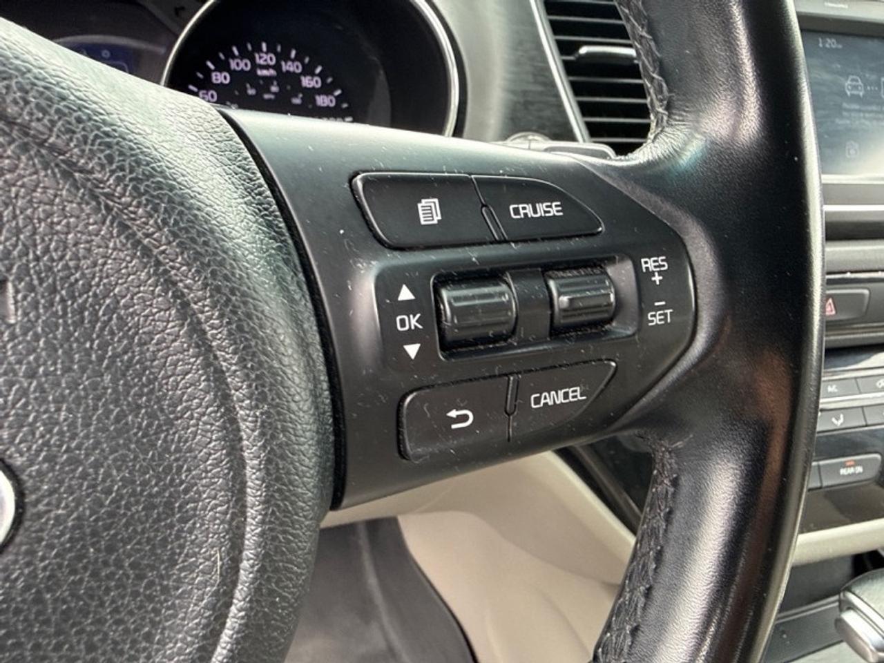 2017 Kia Sedona LX+  One Owner - $184 B/W Photo
