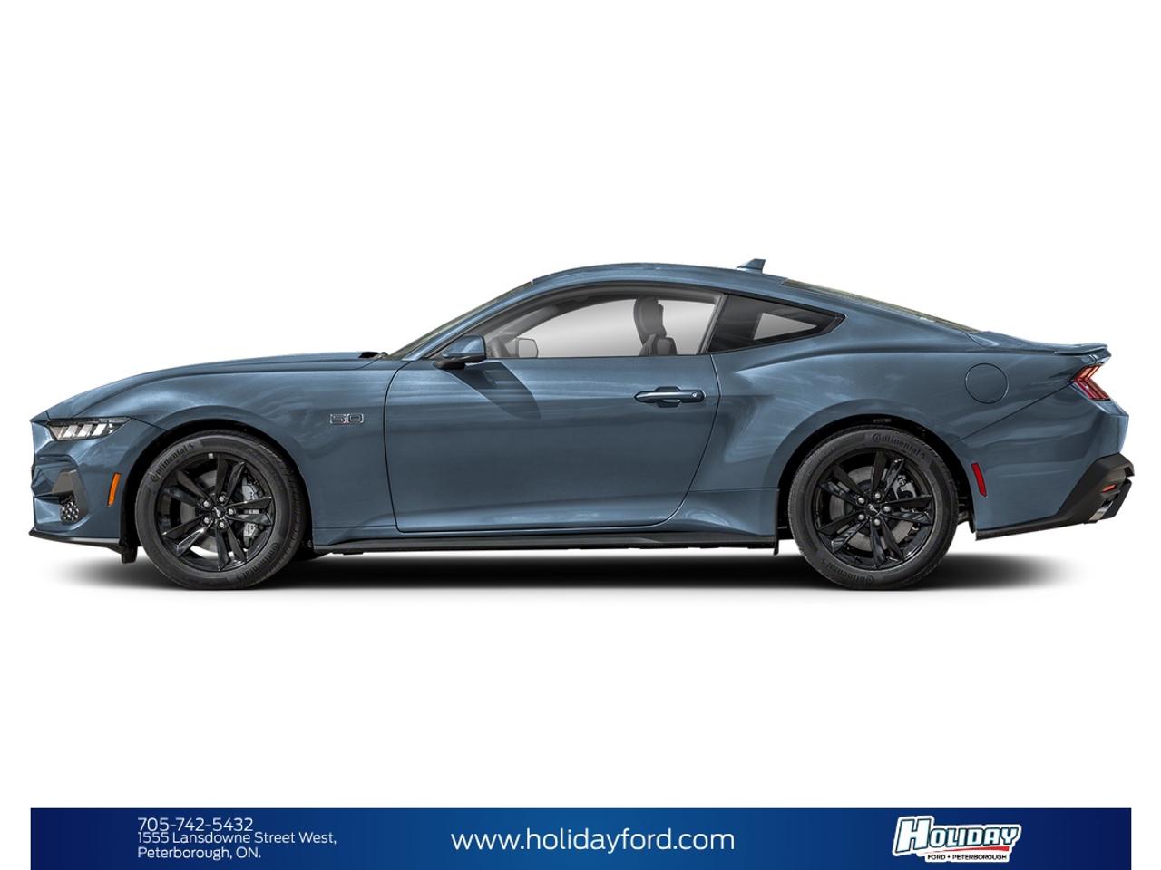 GT Fastback