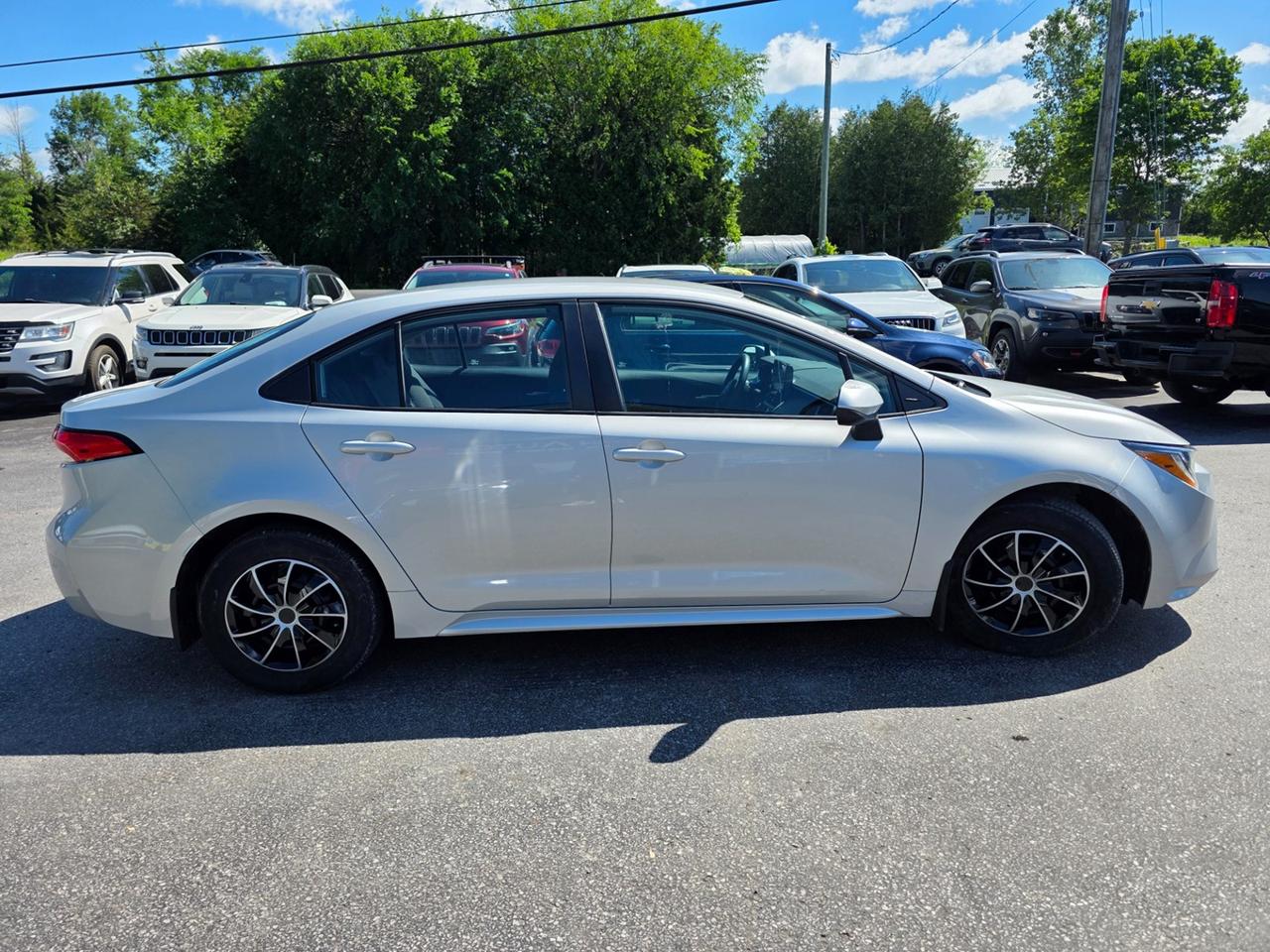 2020 Toyota Corolla LE Photo