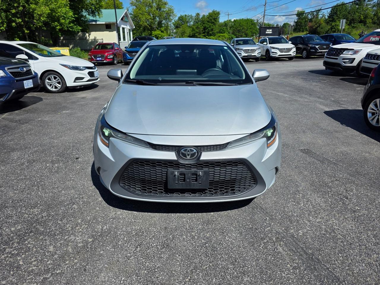 2020 Toyota Corolla LE Photo