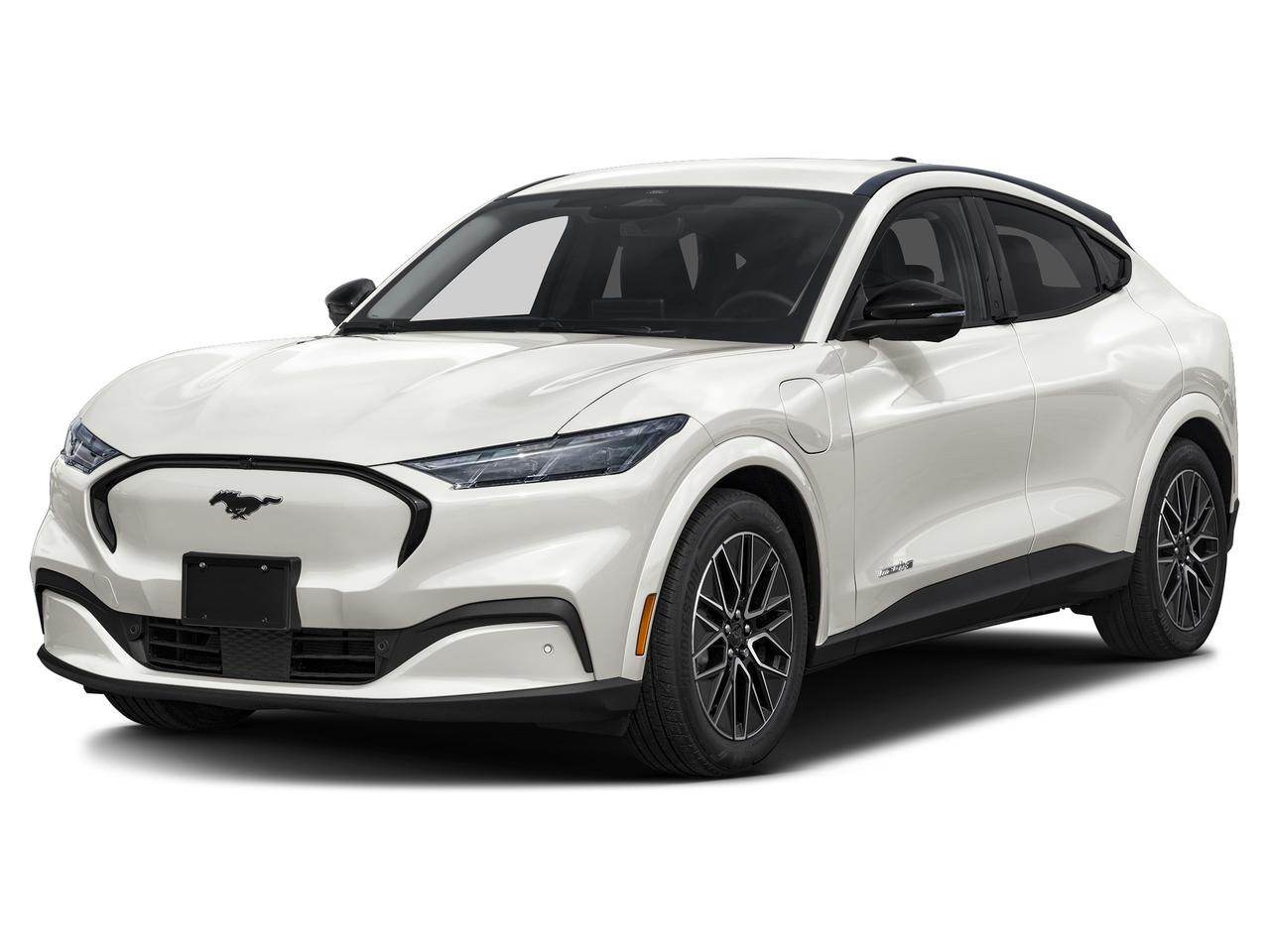 Premium AWD
