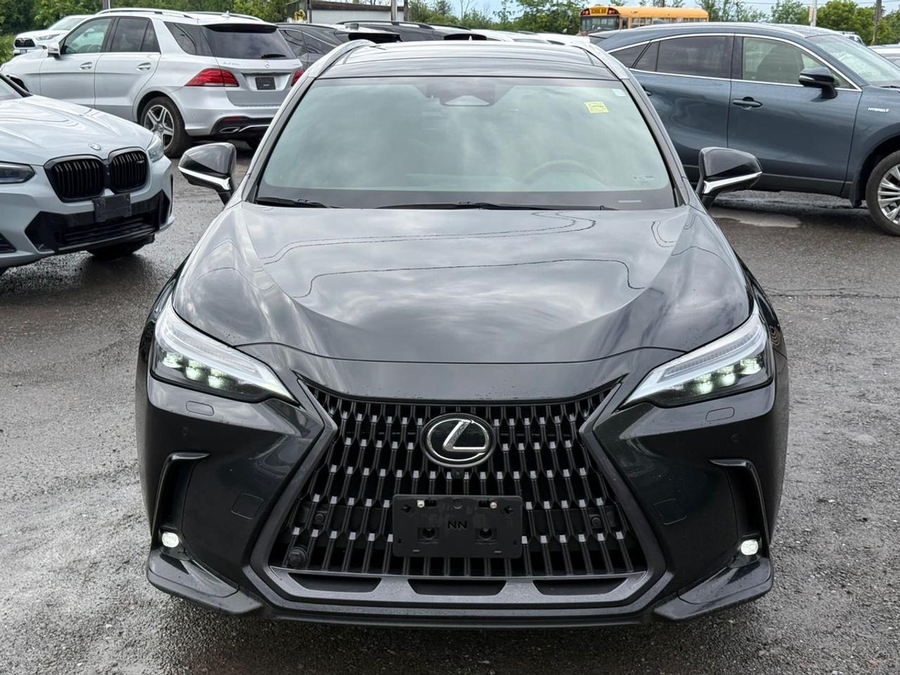 2023 Lexus NX 350h Luxury Luxury Photo