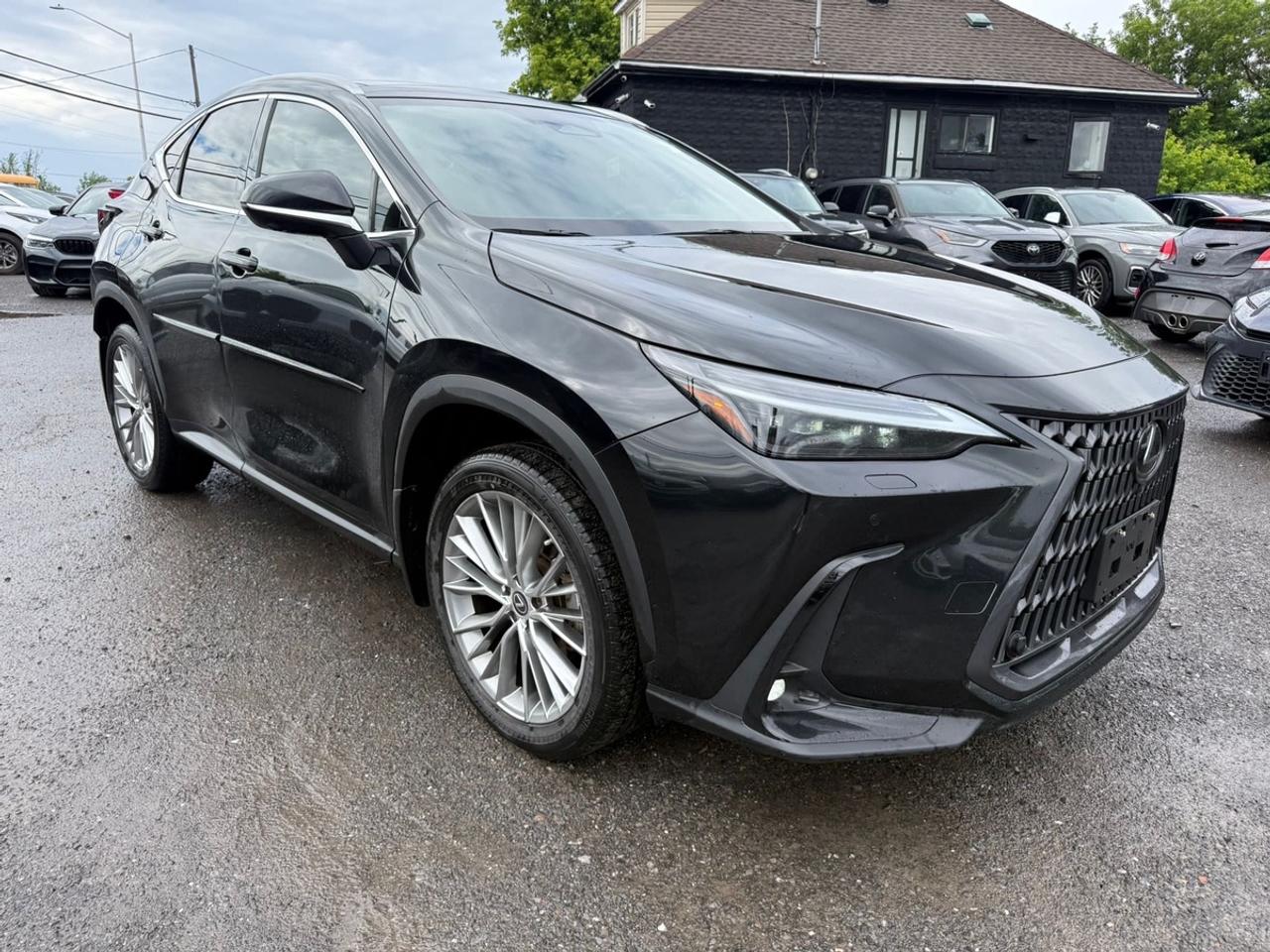 2023 Lexus NX 350h Luxury Luxury Photo