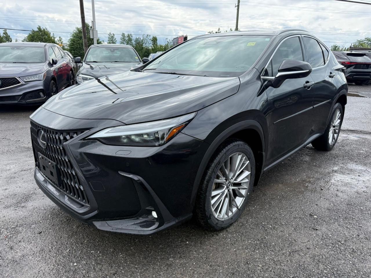 2023 Lexus NX 350h Luxury Luxury Photo