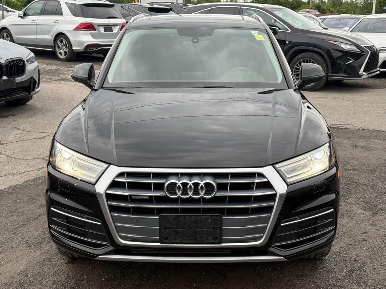 2019 Audi Q5 Premium Plus 45 Photo