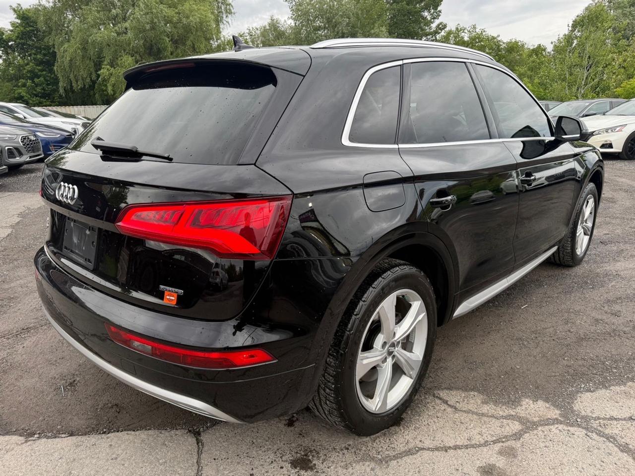 2019 Audi Q5 Premium Plus 45 Photo