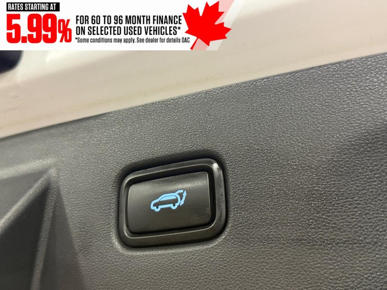 2024 Hyundai Tucson Hybrid N-Line AWD Photo