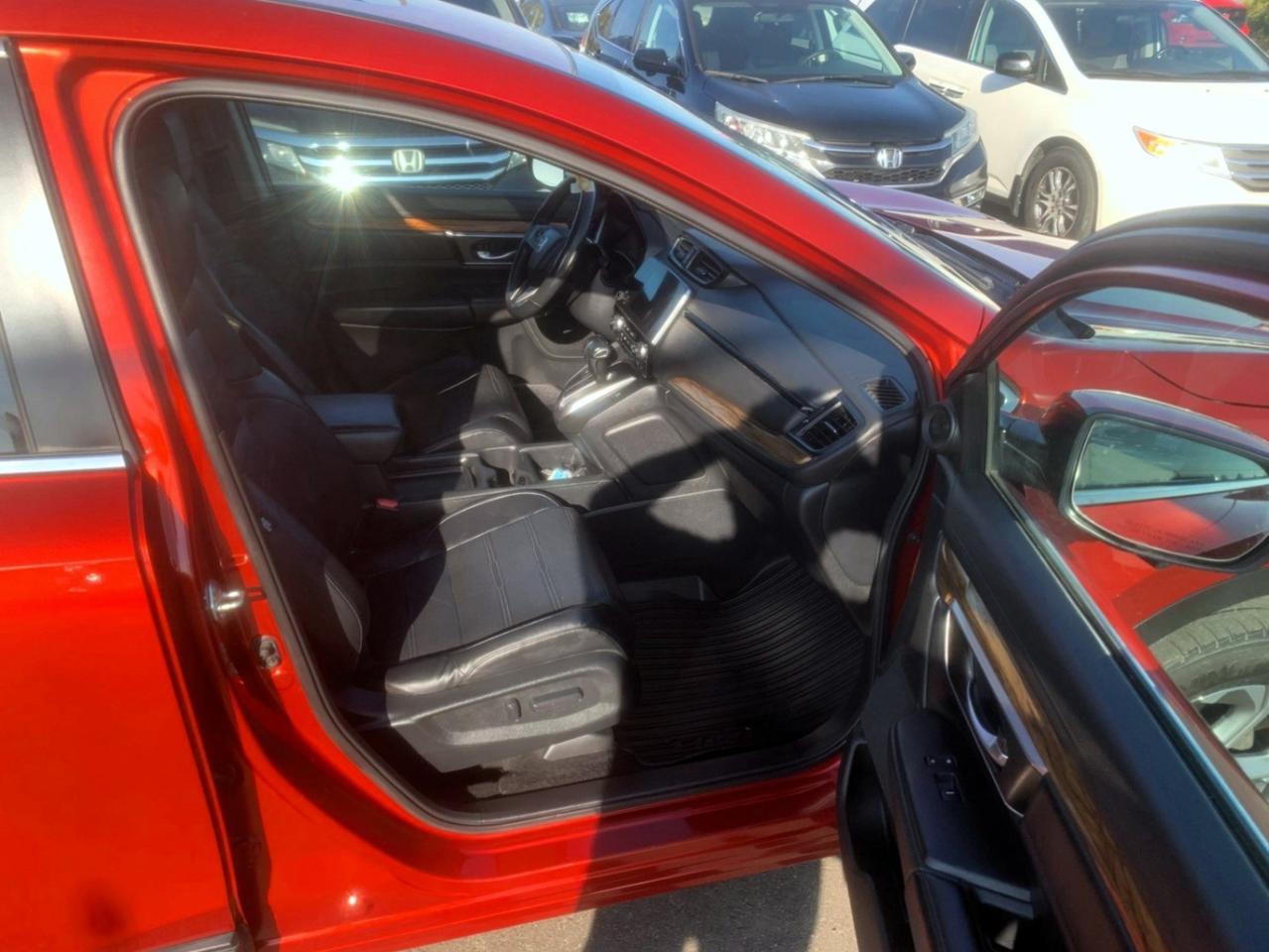 2019 Honda CR-V EX-L AWD Photo