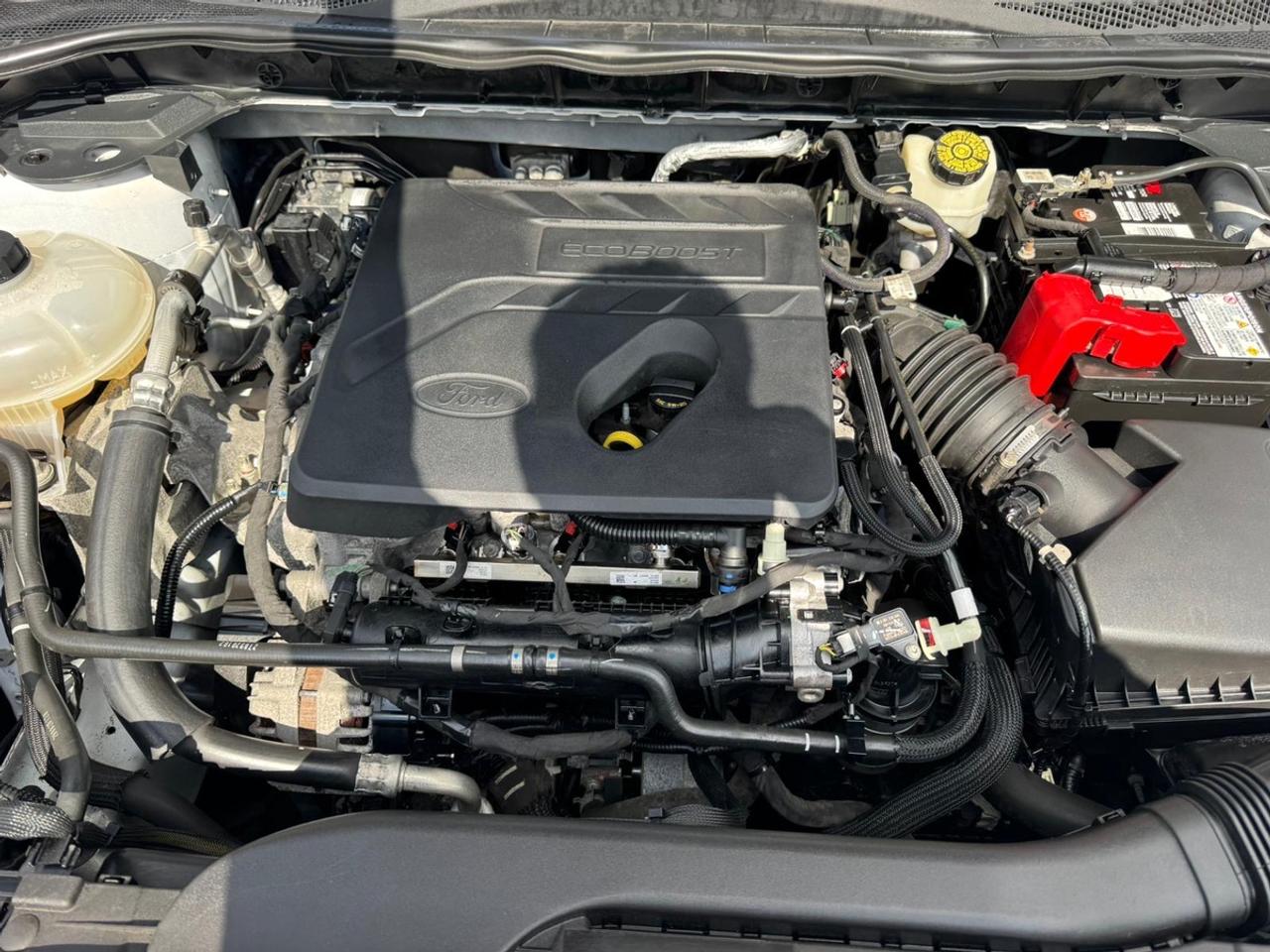 2020 Ford Escape SE Photo