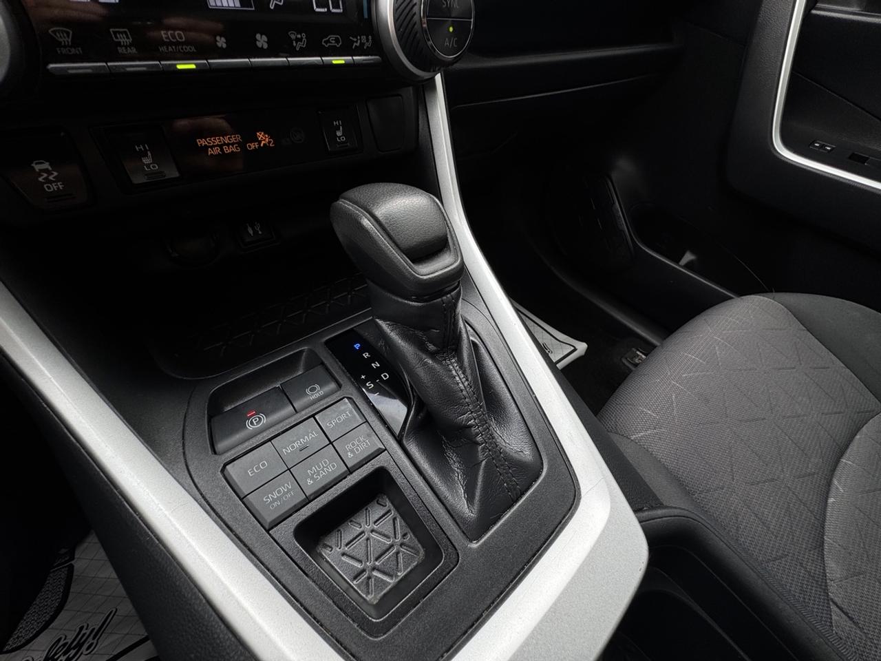 2019 Toyota RAV4 XLE Photo