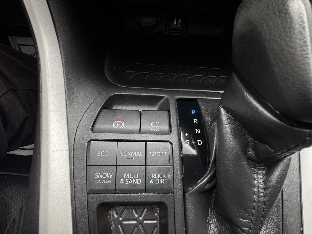 2019 Toyota RAV4 XLE Photo