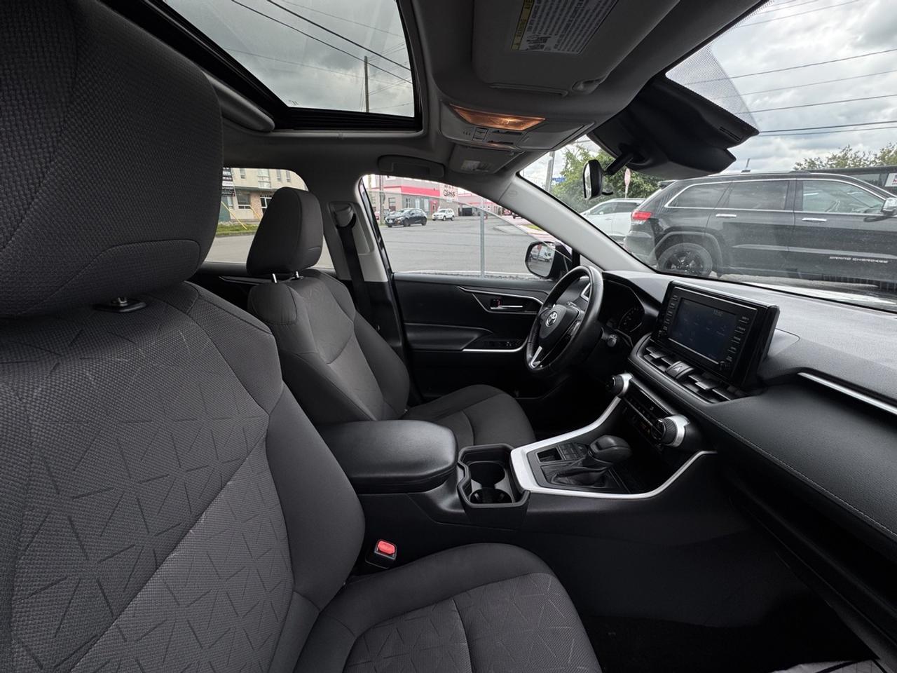 2019 Toyota RAV4 XLE Photo