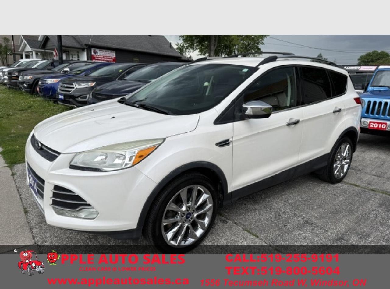 2014 Ford Escape SE Photo