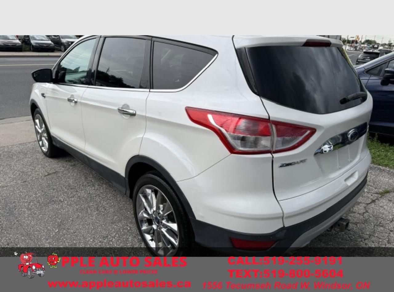 2014 Ford Escape SE Photo3