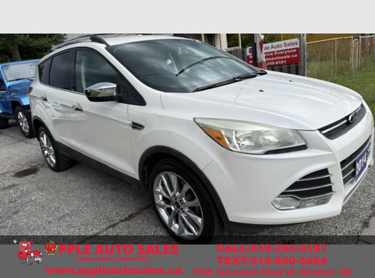 2014 Ford Escape SE Photo