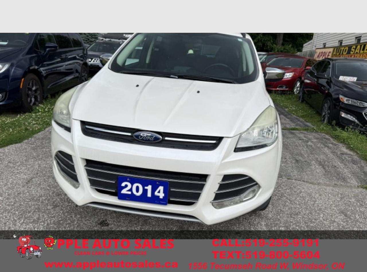 2014 Ford Escape SE Photo