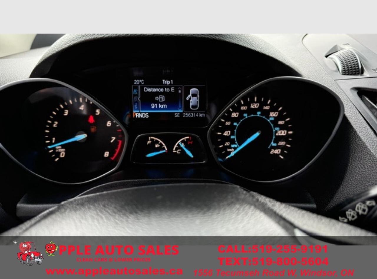 2014 Ford Escape SE Photo
