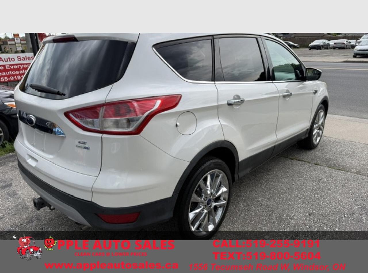 2014 Ford Escape SE Photo