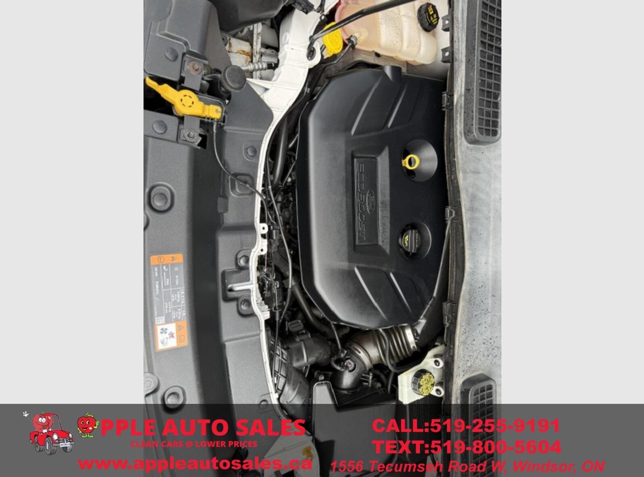 2014 Ford Escape SE Photo
