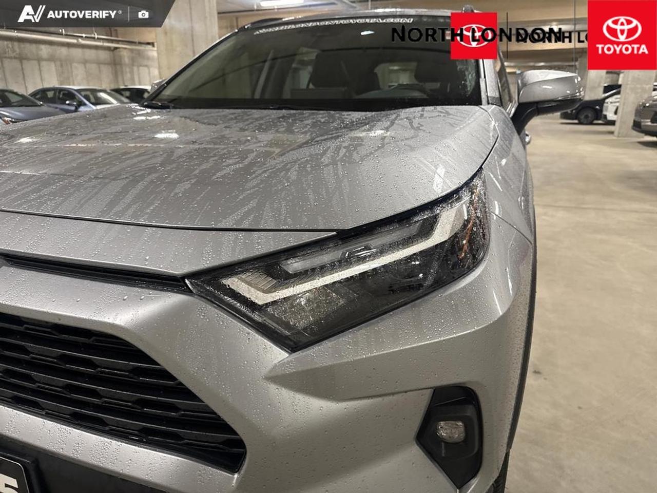 2025 Toyota RAV4 XLE 4dr All-wheel Drive Photo