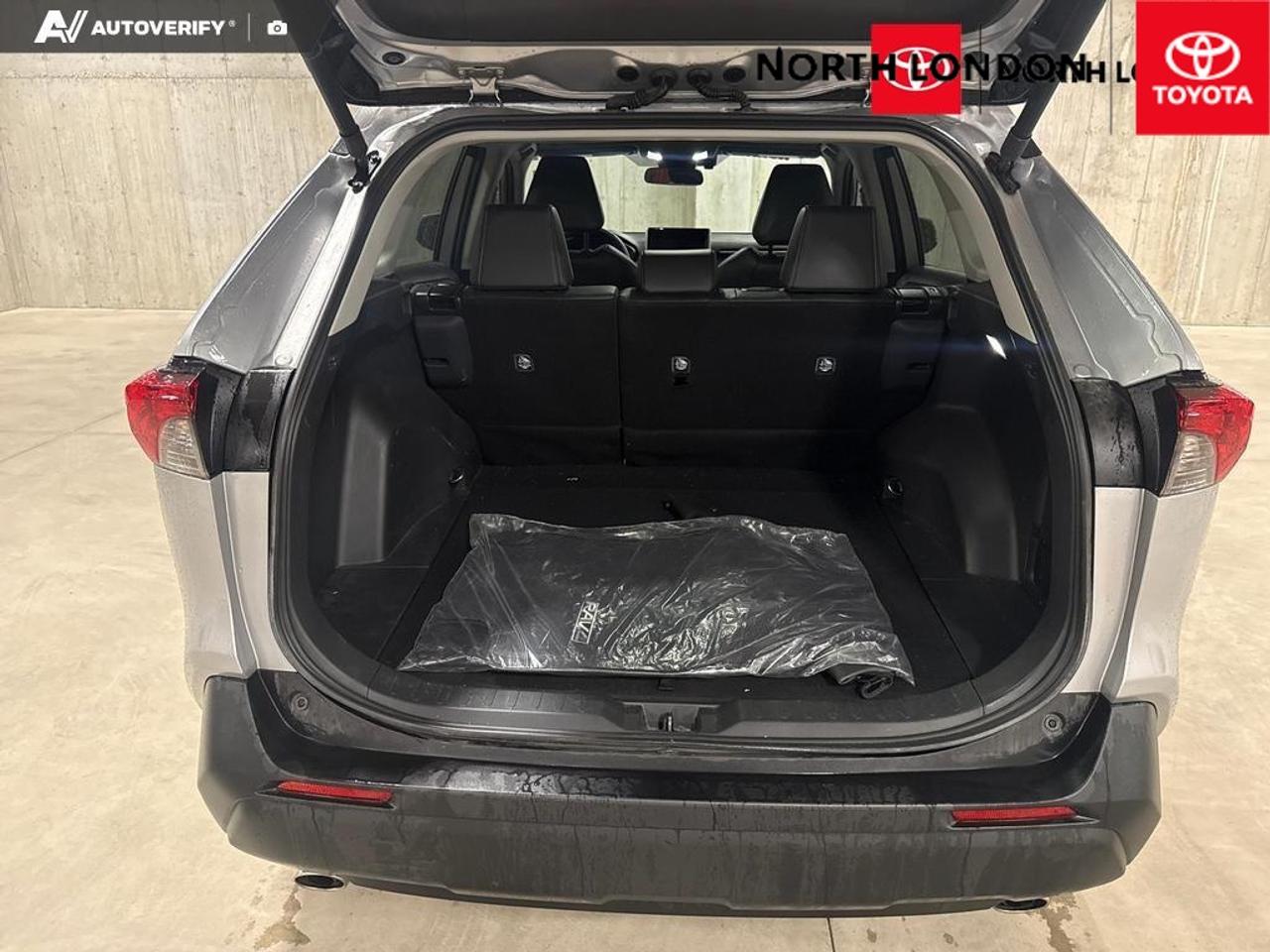 2025 Toyota RAV4 XLE 4dr All-wheel Drive Photo
