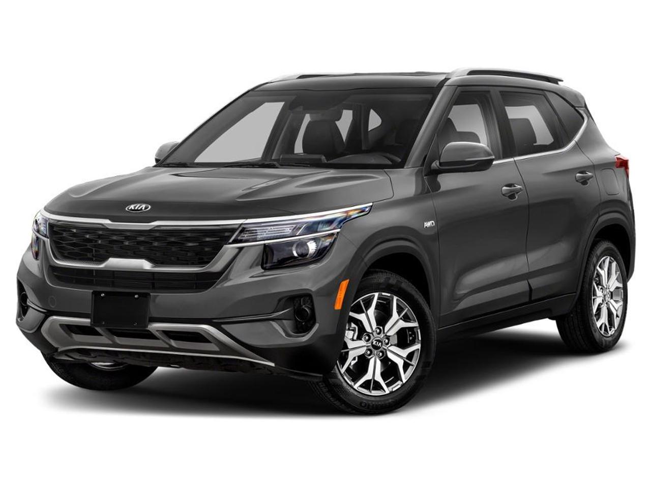 2021 Kia Seltos EX 4dr All-Wheel Drive Photo