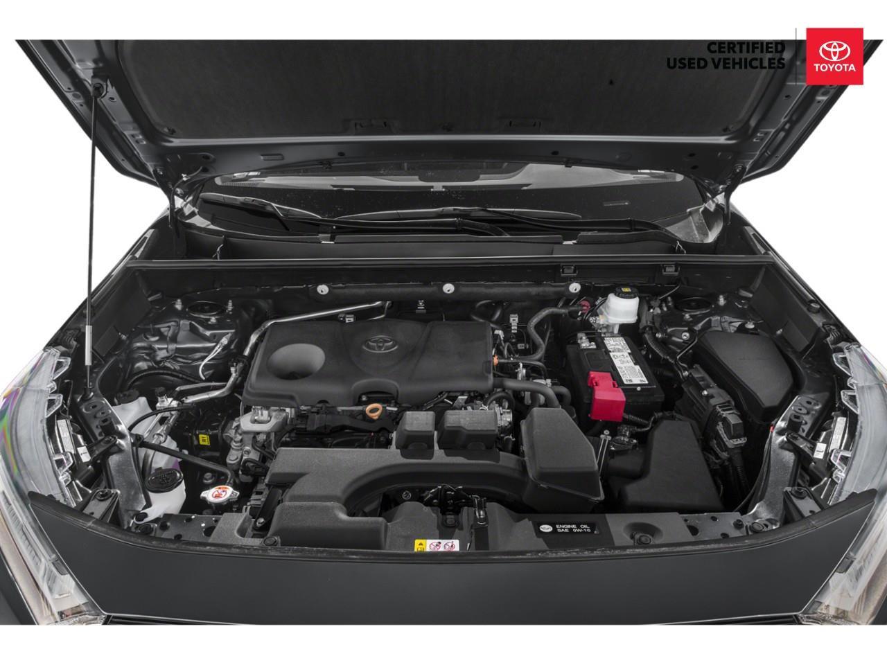 2024 Toyota RAV4 LE 4dr All-wheel Drive Photo