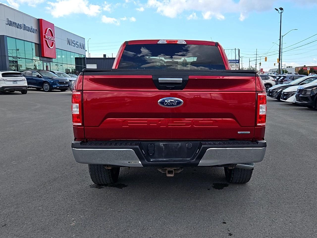 2019 Ford F-150  Photo