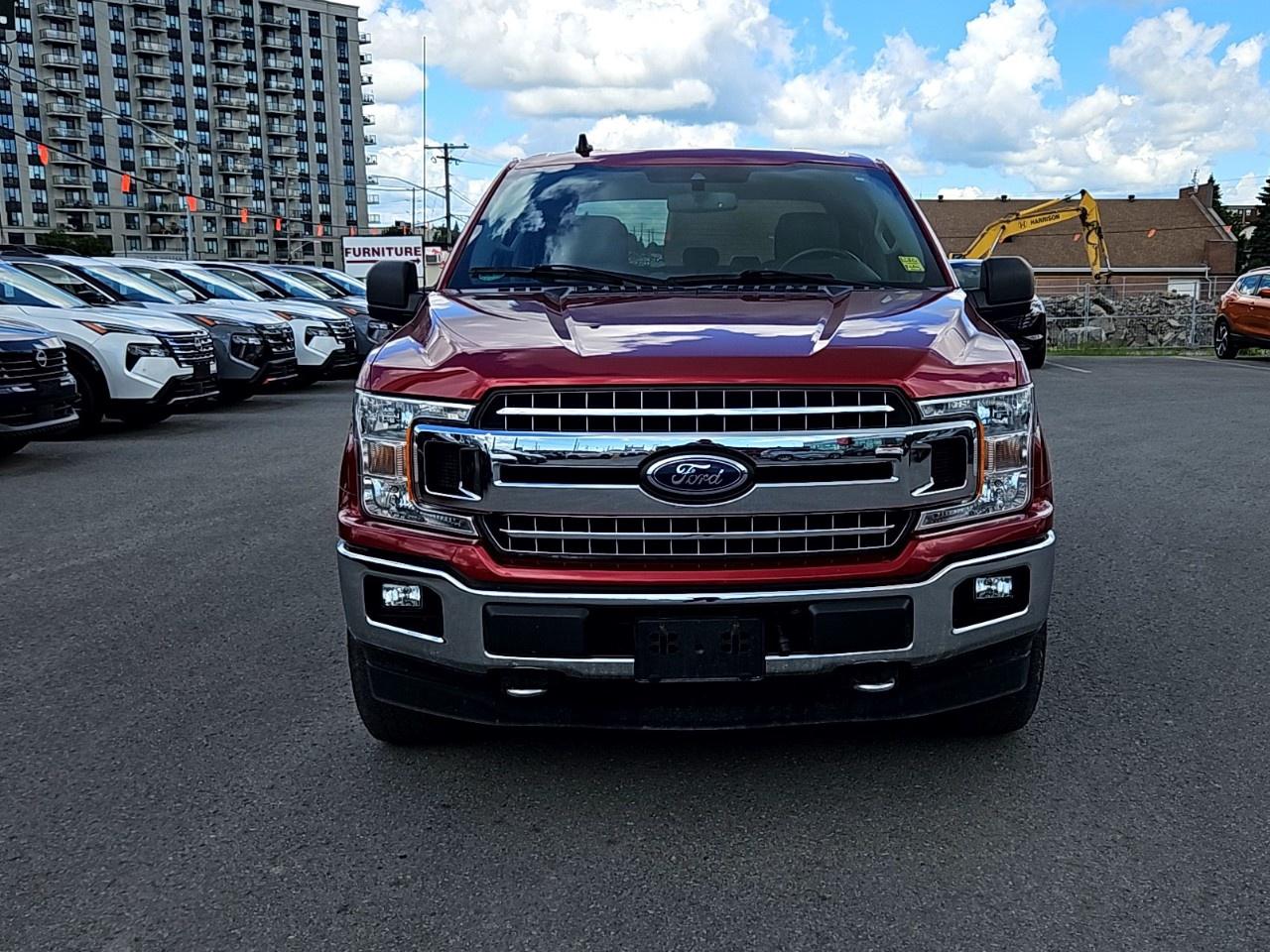 2019 Ford F-150  Photo