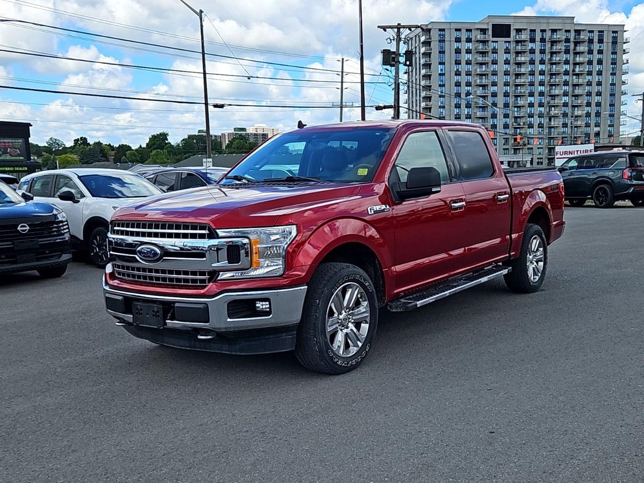 2019 Ford F-150  Photo