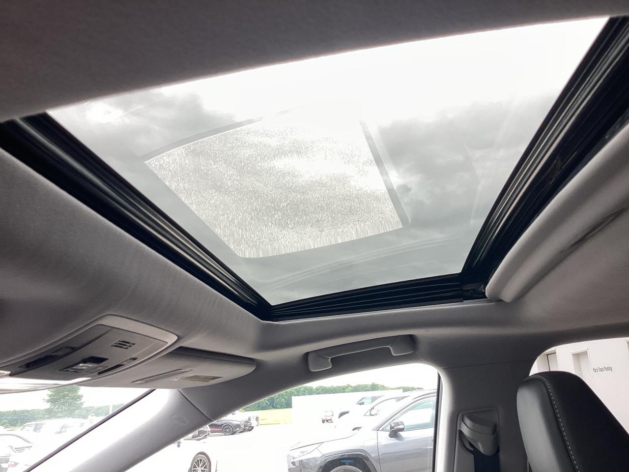 2021 Lexus RX 350 RX 350 LUXURY Photo
