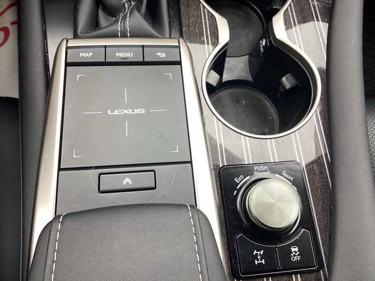 2021 Lexus RX 350 RX 350 LUXURY Photo