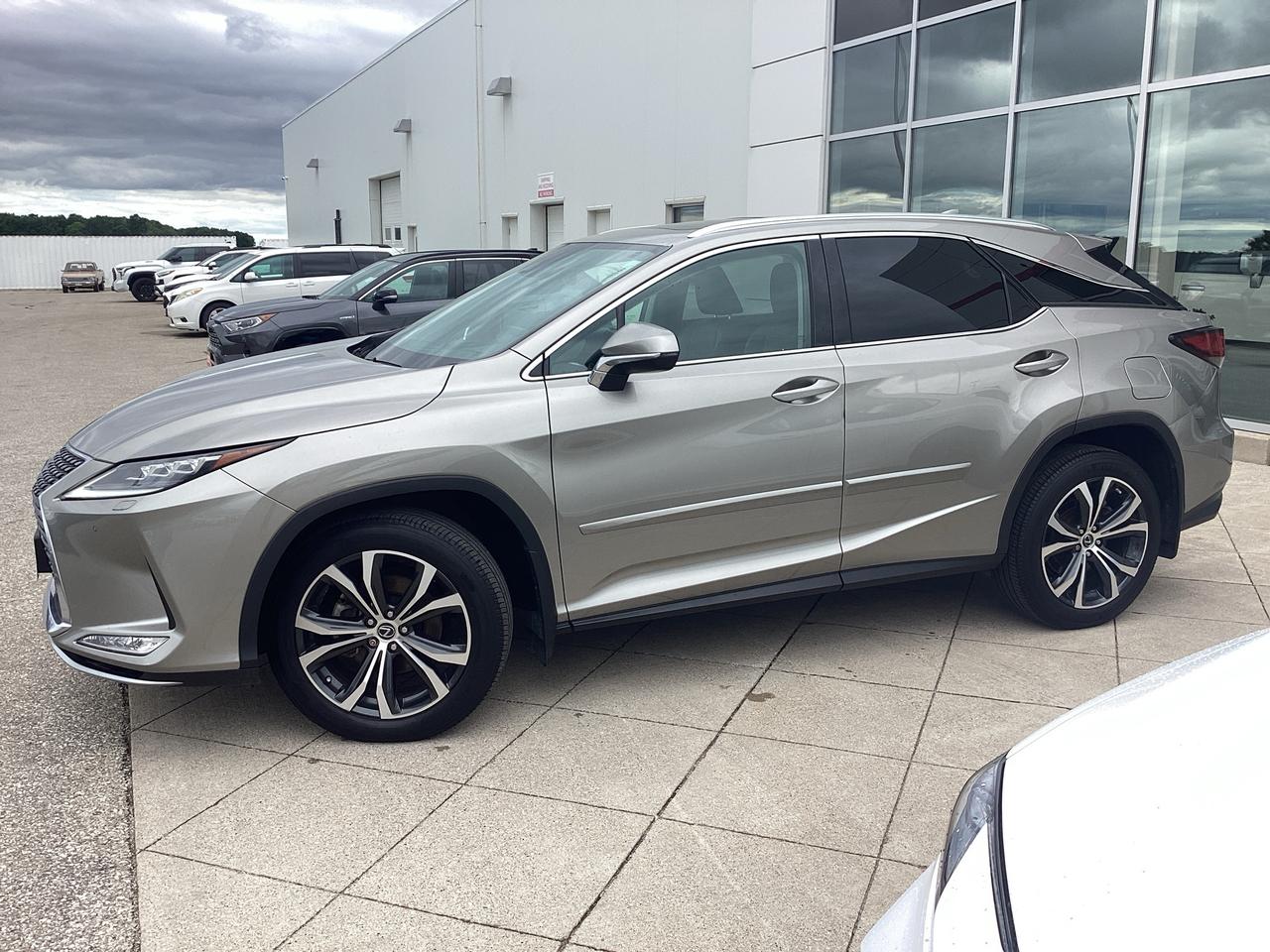 2021 Lexus RX 350 RX 350 LUXURY Photo