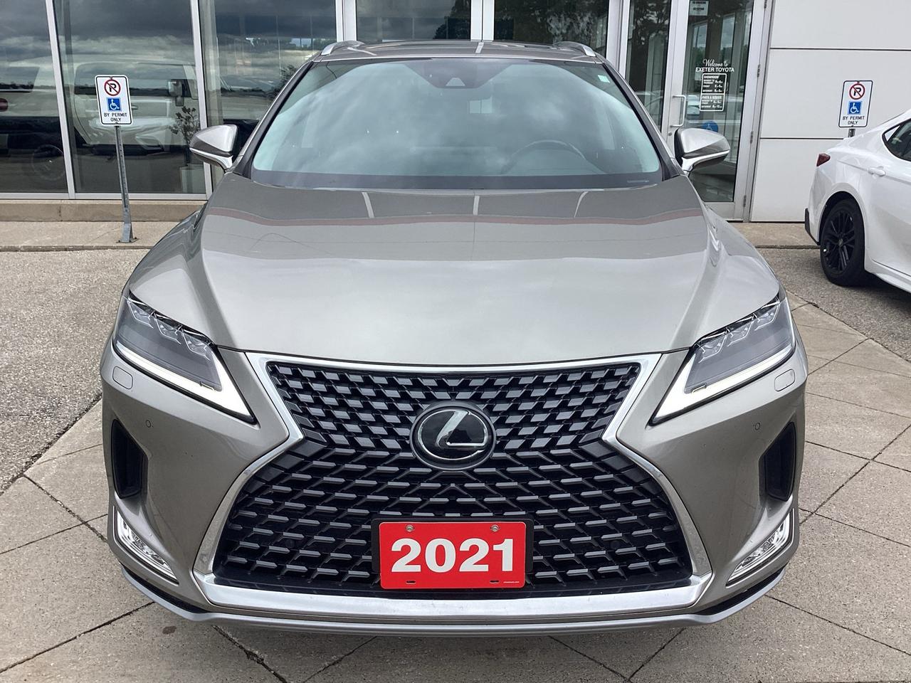 2021 Lexus RX 350 RX 350 LUXURY Photo