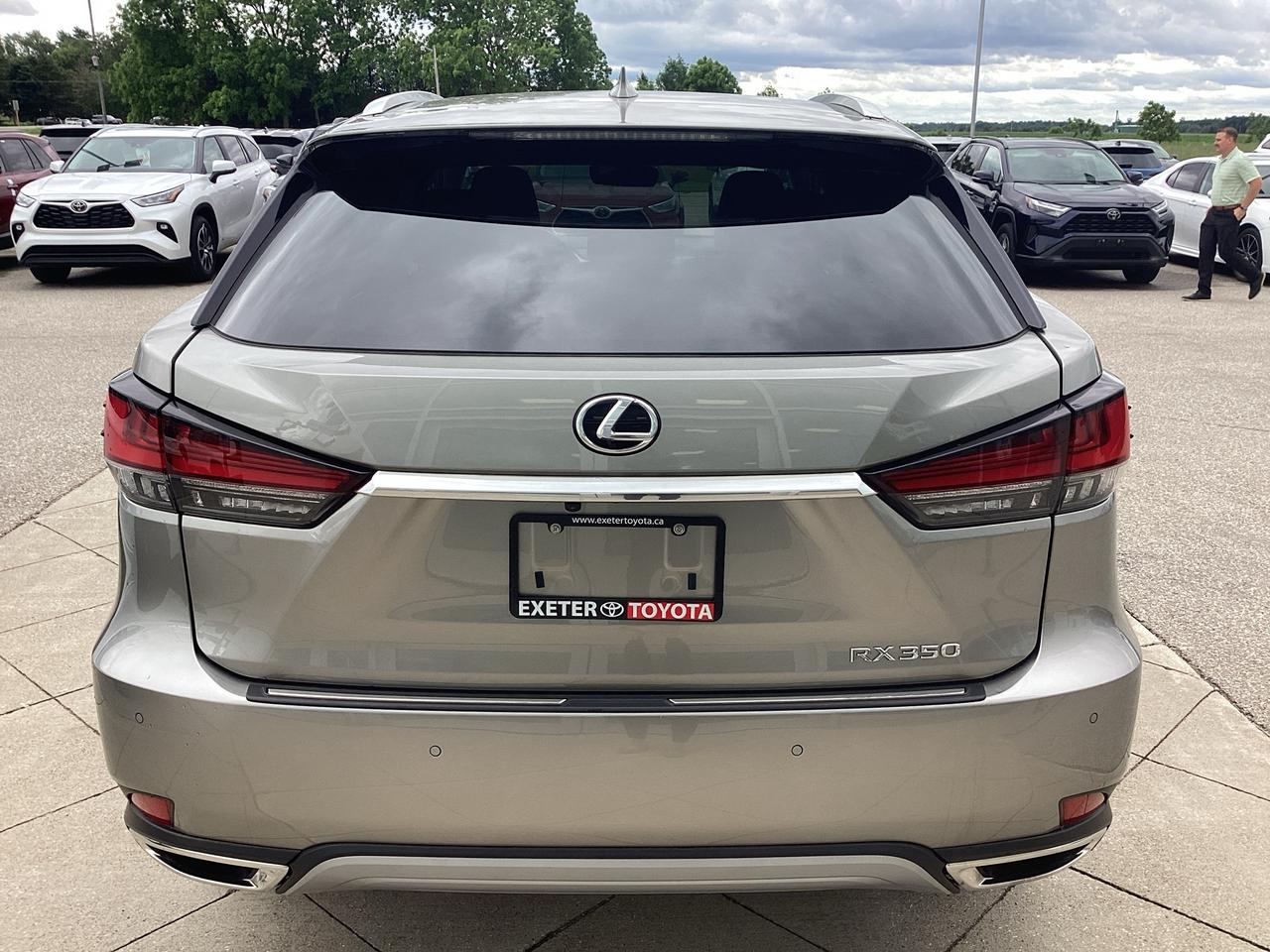 2021 Lexus RX 350 RX 350 LUXURY Photo