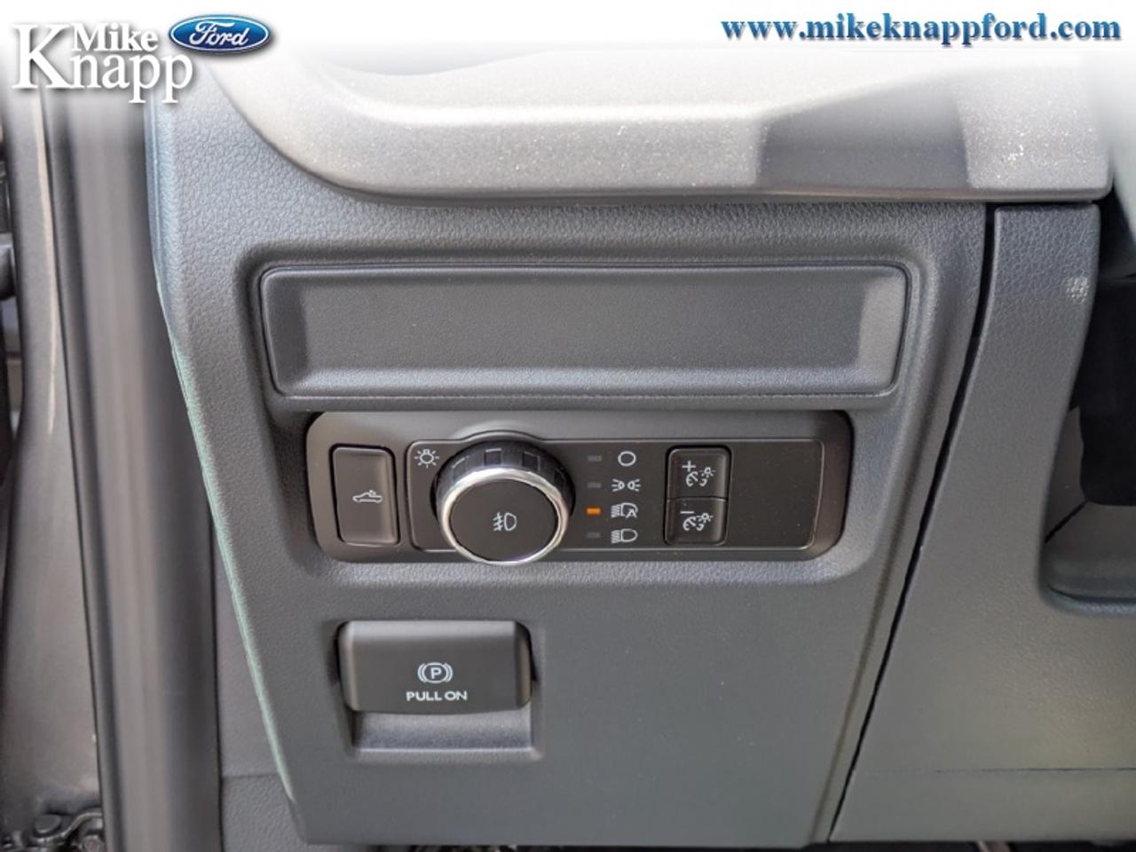 2026 Ford F-150 XLT Photo