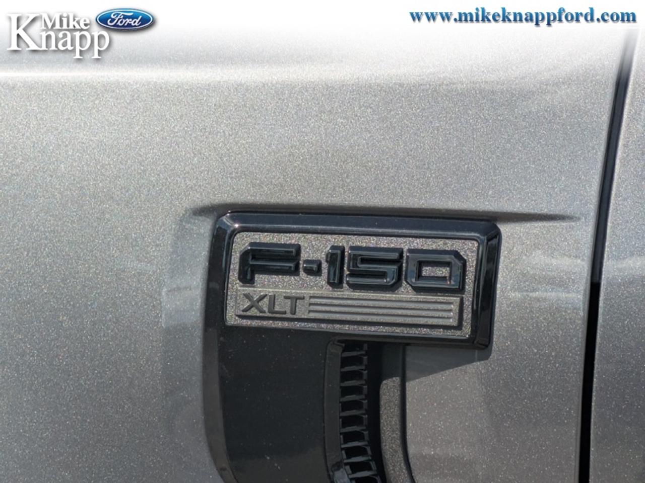 2026 Ford F-150 XLT Photo
