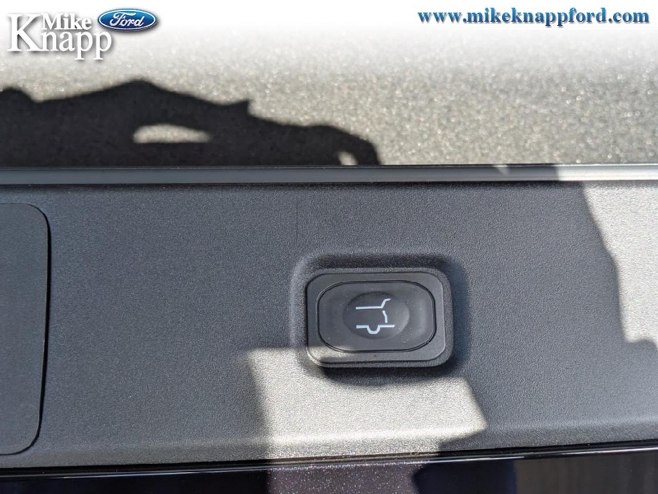 2026 Ford Expedition Platinum Photo