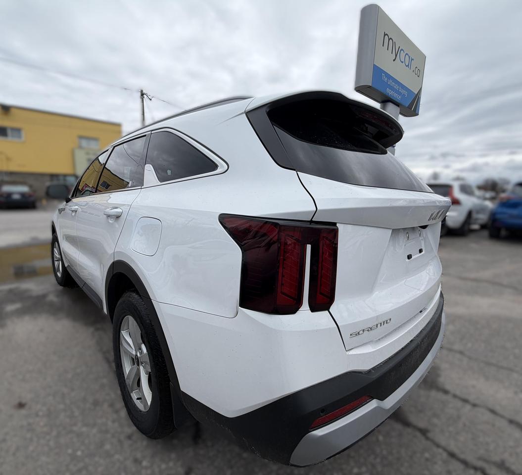 2024 Kia Sorento 2.5L LX 4dr All-Wheel Drive Photo